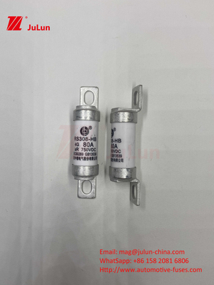 EV RS308 フィューズ メカニカルショック 25A 30A 40A 50A セラミック 銅 定電圧 DC750V 家庭用 EV 電気自動車用 充電器