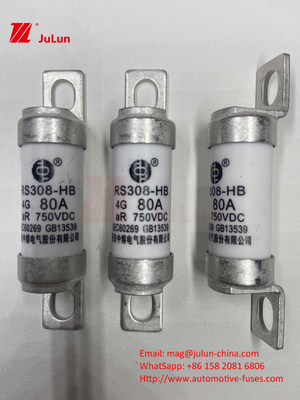 EV RS308 フィューズ メカニカルショック 25A 30A 40A 50A セラミック 銅 定電圧 DC750V 家庭用 EV 電気自動車用 充電器
