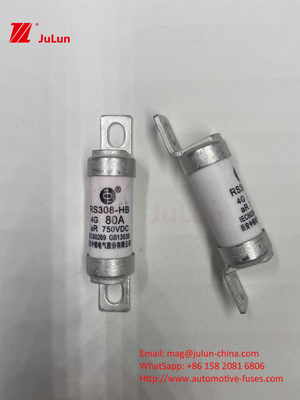 M6 ボルト付きEVファイューズ 750V 80A10A 30A 50A 750VDCEVファイューズ