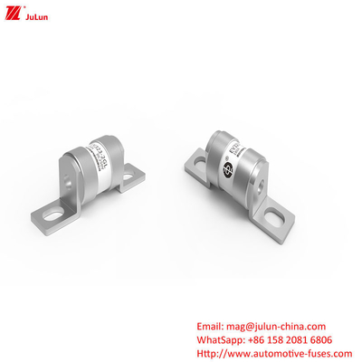 電気自動車の保護用中型ファイューズ (EV Protection Medium Fuse)