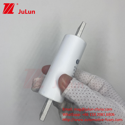 RS309-MM-EV250A 100KA 中圧電気自動車 急速充電 / Ev Dc 急速充電器