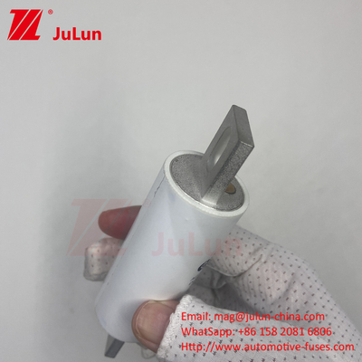 RS309-MM-EV500A1000VDC 50KA 1000VAC 100KA フューズボルトスクリュー保護