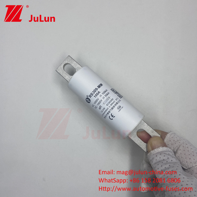 RS309-MM-EV500A1000VDC 50KA 1000VAC 100KA フューズボルトスクリュー保護