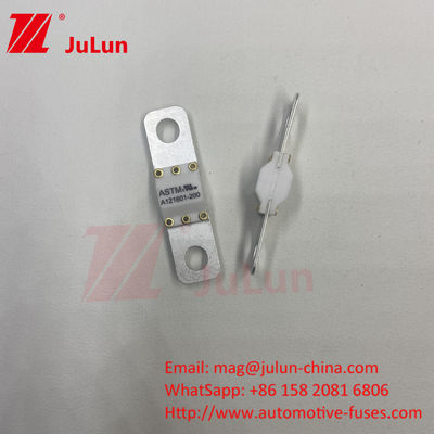 ASTM FUSE 121601 80A 125VDC 電動自動車用ファイューズ