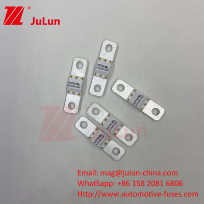 ASTM FUSE 121601 80A 125VDC 電動自動車用ファイューズ