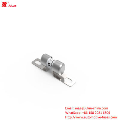 50A DC250V 携帯型電気自動車充電器 ファイューズ 中途半端のファイューズ