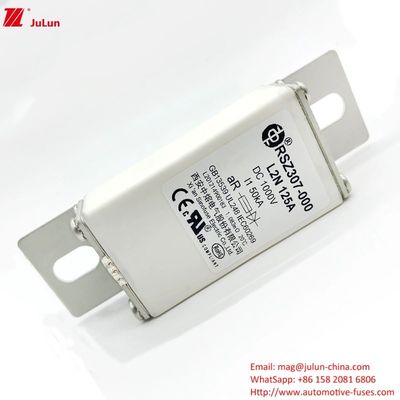 RSZ307 ボルトオン・ターミナルタイプ EV充電器 平均的な充電特性を持つファイューズ