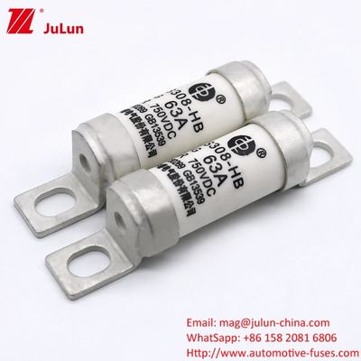 DC750V 32A 63A 100A 電気システム用電動電池ファイューズ