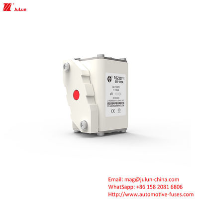 315A AC1000V ポータブルEV充電器 高断裂能力の自動車ファイューズ