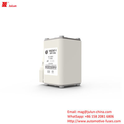 電源システム保護 160A-550A AC EV 充電器アダプタ 兼容 ボルト ファイューズ
