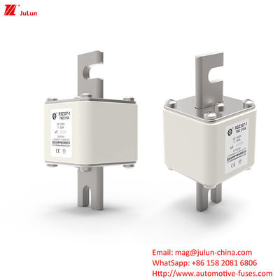 200A-450A 自動車用電池充電器ファイューズ