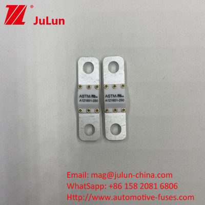 A121601-80A ASTM 125VDC 50A-100A 電動自動車 バッテリー エネルギー貯蔵ファイューズ