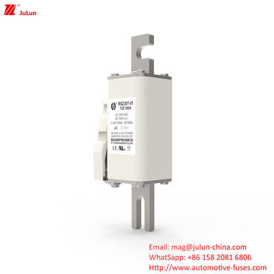 200A DC1000V 電気機器のための高電圧シューズ 部分範囲保護のためのシューズ上のボルト