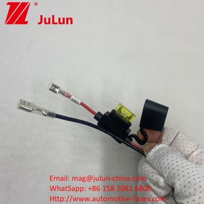 15A 自動車用電気自動車用ワイヤーハーネス EVワイヤーハーネス