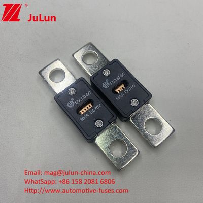 EV320-5C 125A 70VDC SINOFUSE セラミック自動車ファイューズ 高電流 80A 100A 125A 150A 200A 250A 300A 350A 400A 500A