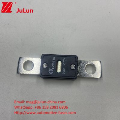 EV320-5C 175A 70VDC SINOFUSE セラミックカーフューズ 小型 電流電流 70VDC 電圧電流