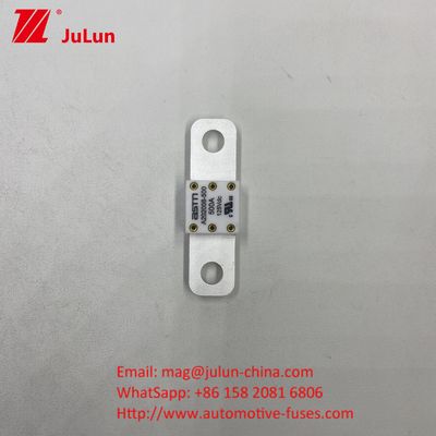 自動車用断路器 A202008 100A 100VDC EV FUSE ASTM