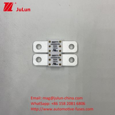 自動車用断路器 A202008 100A 100VDC EV FUSE ASTM