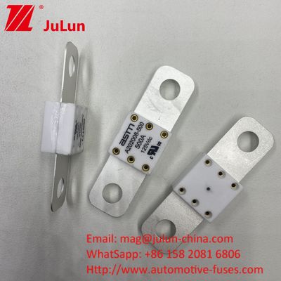 プロ A202008 300A 125VDC 重用自動車バッテリー充電器 フューズ 100A 150A 200A 250A 300A 350A 400A 500A 20KA 断片能力