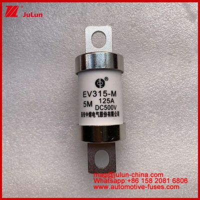 EV315-M 5M 125A HS 500VDC トラック 重型チューブル型電気自動車 ファイューズ 常銅 利用カテゴリ EV