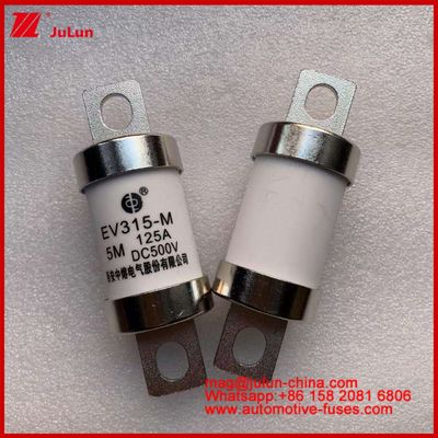 EV315-M 5M 125A HS 500VDC トラック 重型チューブル型電気自動車 ファイューズ 常銅 利用カテゴリ EV