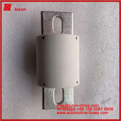 500VDC 200KA 500VAC 50KA AR 管状セラミック・高速ファイューズ ファイューズ RS309-MD 500A 電動自動車および電池システム用
