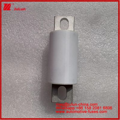 500A 400A RS309-MF EVE 750VDC (UL) 道路車両 管状陶磁エネルギー貯蔵 電力システム 充電器 ワイヤー 自動車機器 設備 20KA