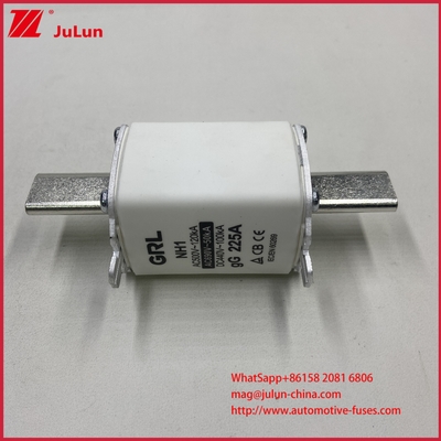 NH000 NT000 300A 225A 500V 120kA 高断裂能力のファイューズ・ファイューズ・リンク GG-gLナイフ・コンタクター・ブレード