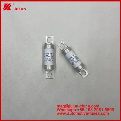 Bolt Fast Fuse 50A 63 80A 100A RS308-HB-4G Ceramic Automotive Fuses For AR Usage 690AC 550VDC JASO D622 Certification