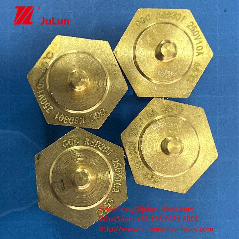 ブラス・キャップ・スクリュー・サーミストール温度センサー