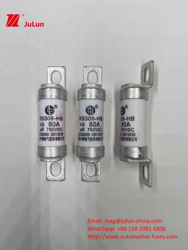 電気自動車用フューズ DC750V フューズ DC750V 10A 15A 20A 25A 30A 自動車用 RS308