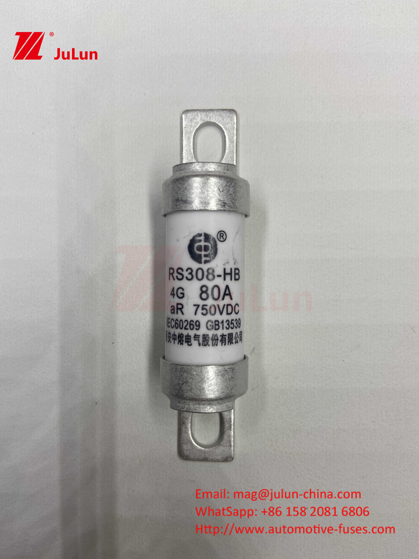 電気自動車のシューズ トラクションシステム エネルギー貯蔵とオルト 750VDC 25A 30A 40A 50A RS308 HB EV