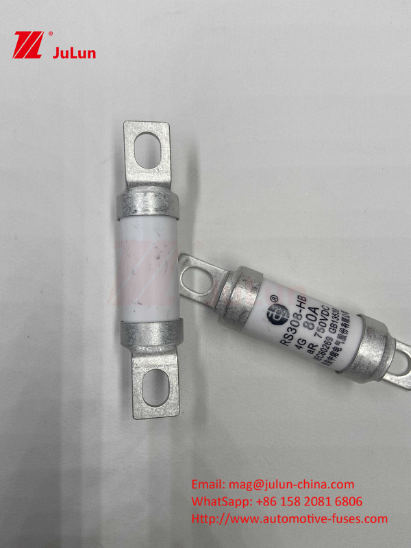 セルミックチューブ 20x46mm 15A 40A 50A RS308 HB G FUSE 750VDC EV325 100A