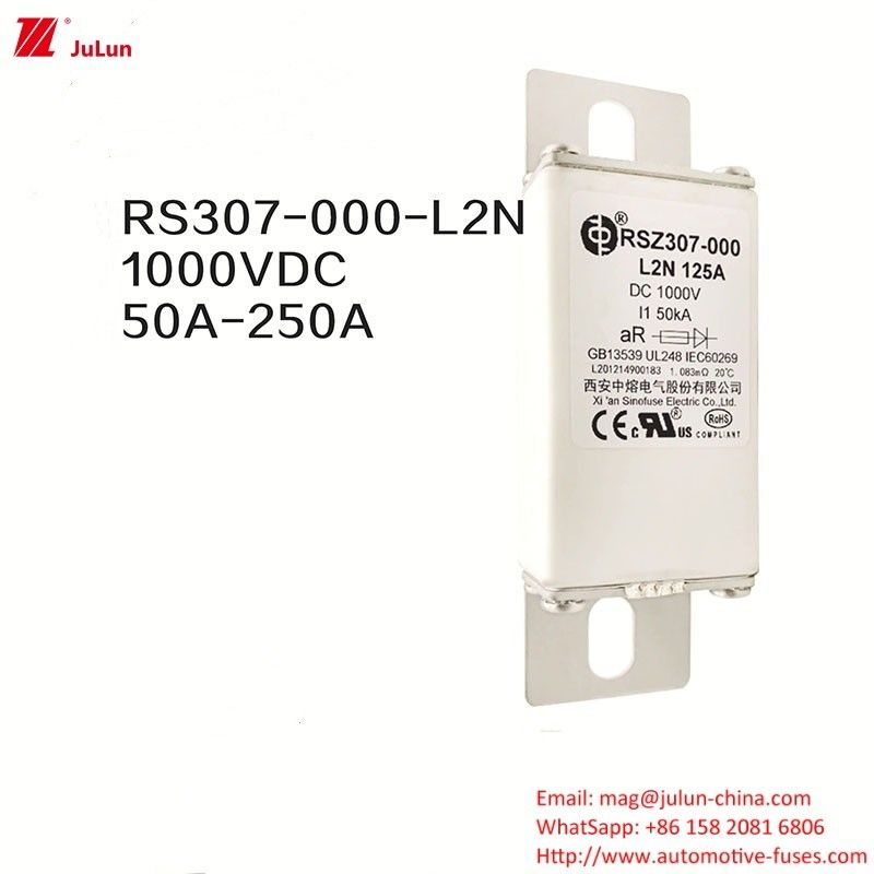 100A ボルトオン Ev DC 急速充電器 / 電気自動車 急速充電 RSZ307-000-L2N フィューズ