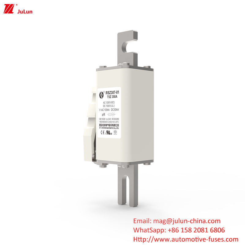 200A DC1000V 電気機器のための高電圧シューズ 部分範囲保護のためのシューズ上のボルト