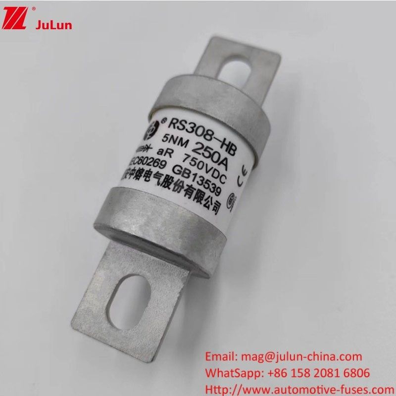 200A 250A 300A -400A 電動車用シューズシューズ M8 M6 設置方法 端末型 750VDC エネルギーシューズ