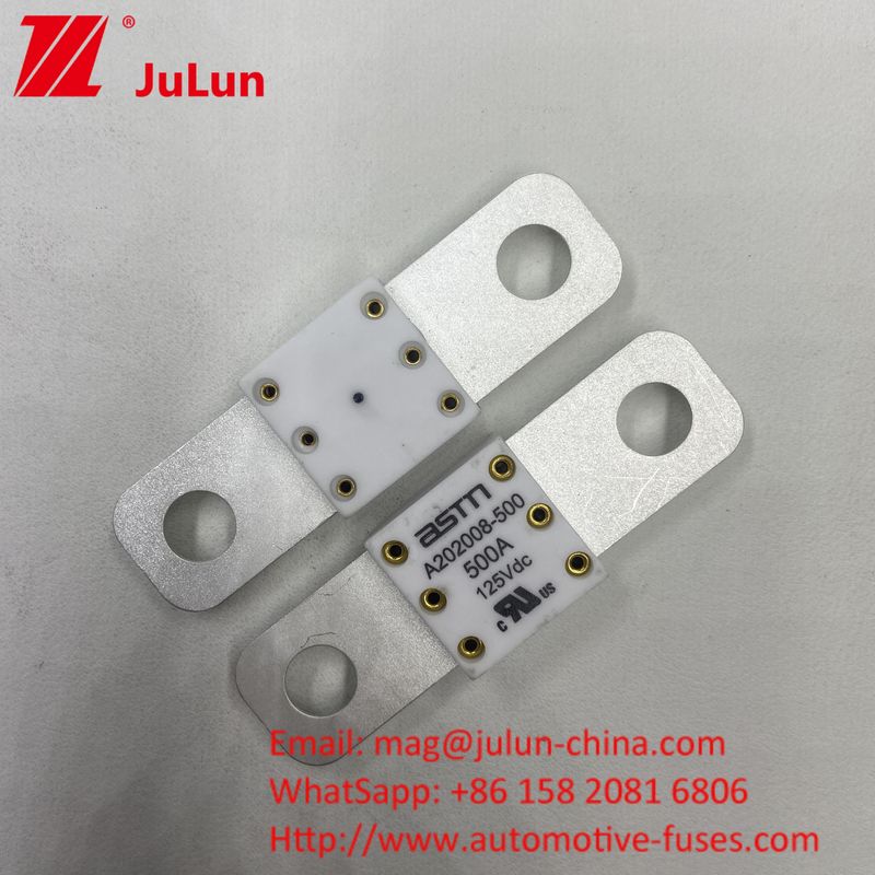 プロ A202008 300A 125VDC 重用自動車バッテリー充電器 フューズ 100A 150A 200A 250A 300A 350A 400A 500A 20KA 断片能力