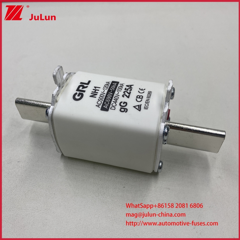 NH000 NT000 300A 225A 500V 120kA 高断裂能力のファイューズ・ファイューズ・リンク GG-gLナイフ・コンタクター・ブレード