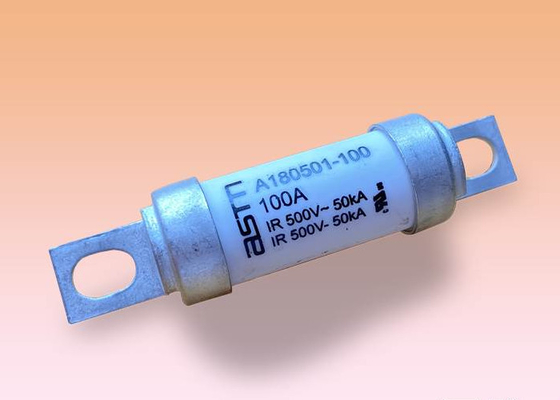電子工学のための速い機能の100 Amp車のヒューズ500v AC電圧白い色