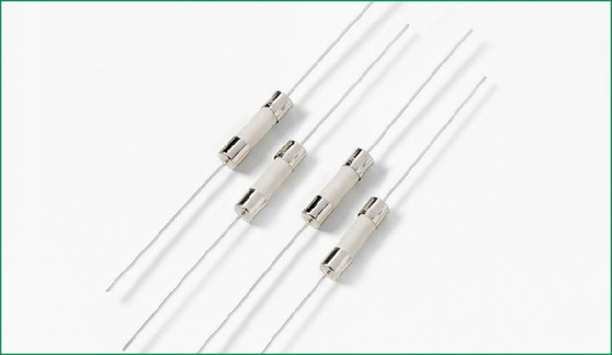 KECの証明5X20の陶磁器にヒューズ10A 250V 0216.010MXEPの速い溶けること