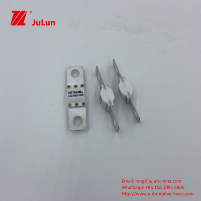 200A 125VDC 50A 60A 80A 100A 自動車ファイューズ パワーフル・オートモビルの電動工具 機械 新エネルギー