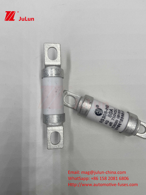 セルミックチューブ 20x46mm 15A 40A 50A RS308 HB G FUSE 750VDC EV325 100A