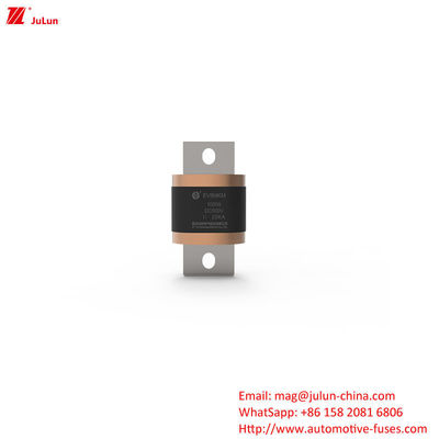 EV8-MKM 450A-1000A DC500V 電動車両端末用の箱付き安全ファイューズ